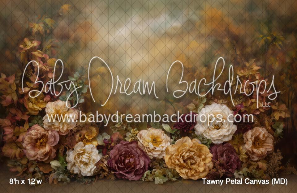Tawny Petal Canvas (MD)