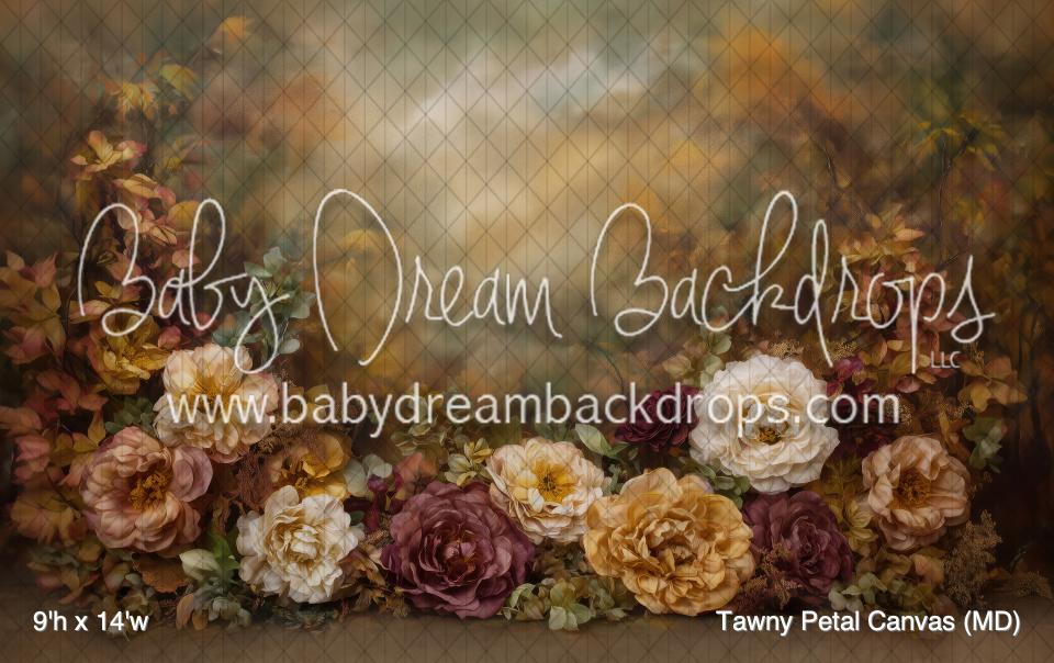 Tawny Petal Canvas (MD)