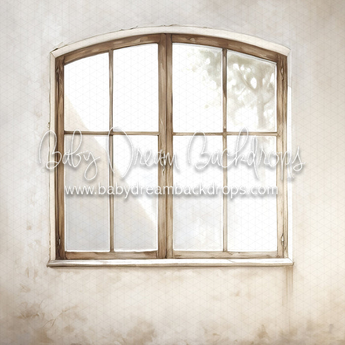 Textured Arch Window 1 Flipped (MD)