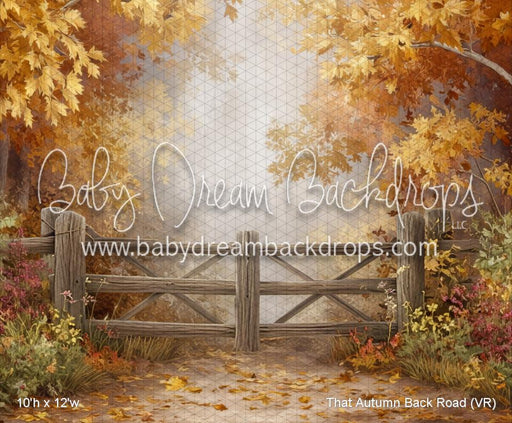 That Autumn Back Road (VR)