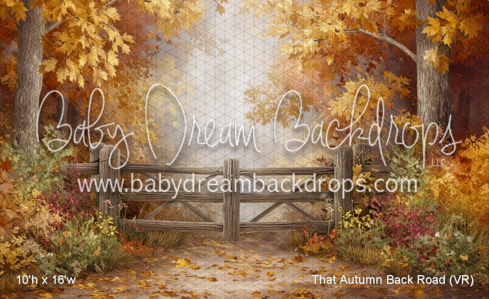 That Autumn Back Road (VR)