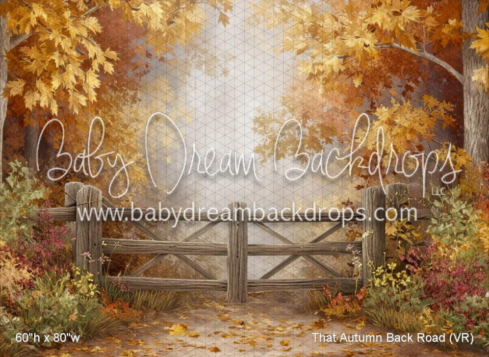 That Autumn Back Road (VR)