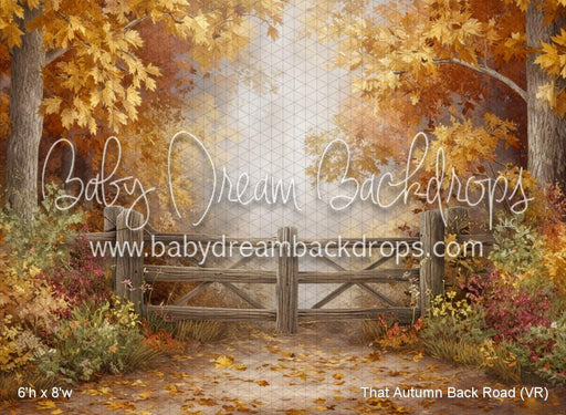 That Autumn Back Road (VR)