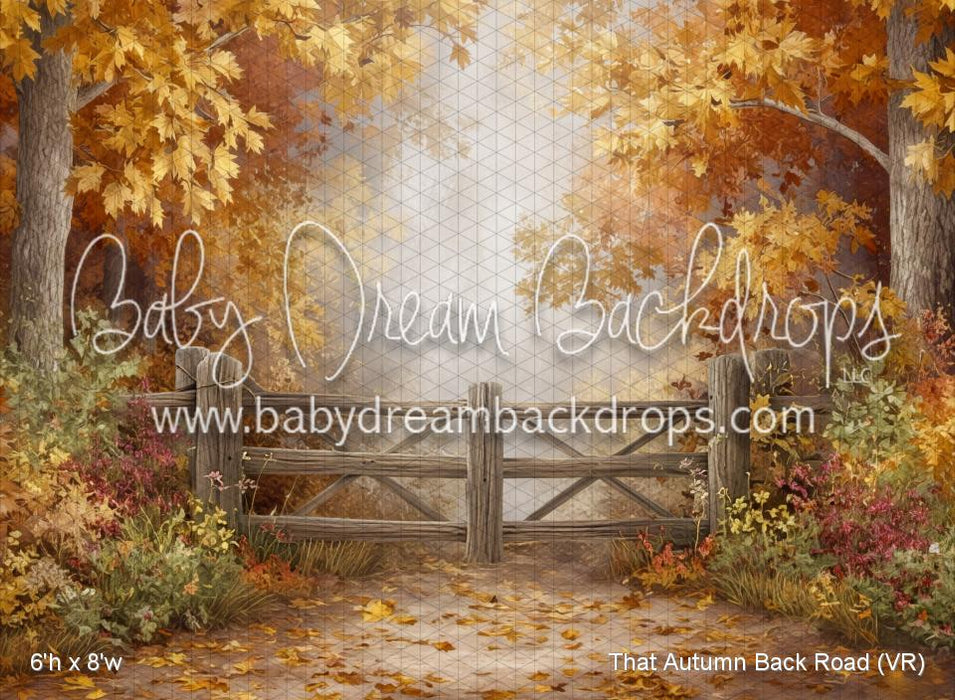 That Autumn Back Road (VR)
