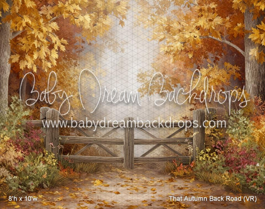 That Autumn Back Road (VR)