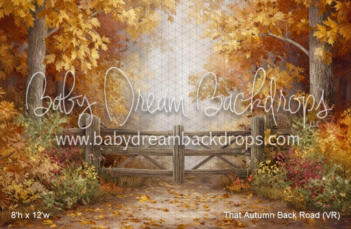 That Autumn Back Road (VR)