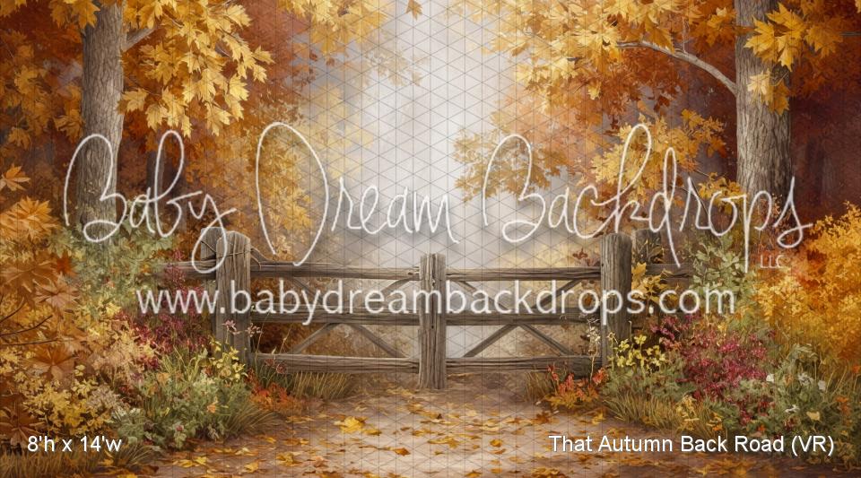 That Autumn Back Road (VR)