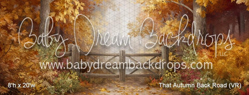 That Autumn Back Road (VR)