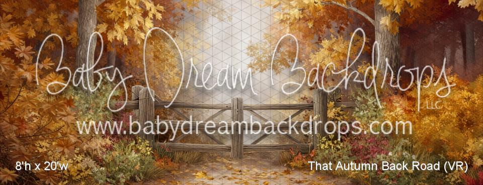 That Autumn Back Road (VR)