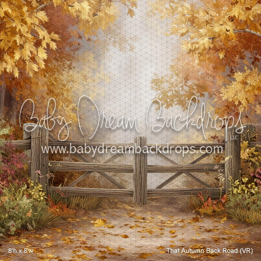 That Autumn Back Road (VR)