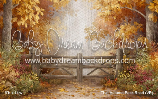 That Autumn Back Road (VR)