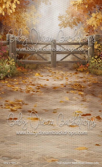 That Autumn Back Road Sweep (VR)