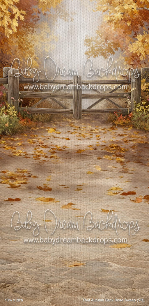 That Autumn Back Road Sweep (VR)