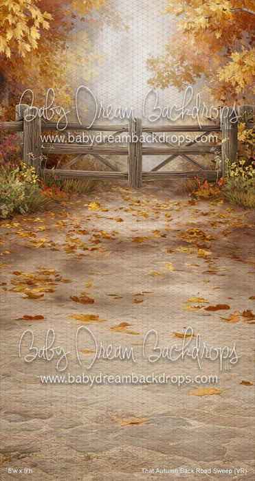 That Autumn Back Road Sweep (VR)