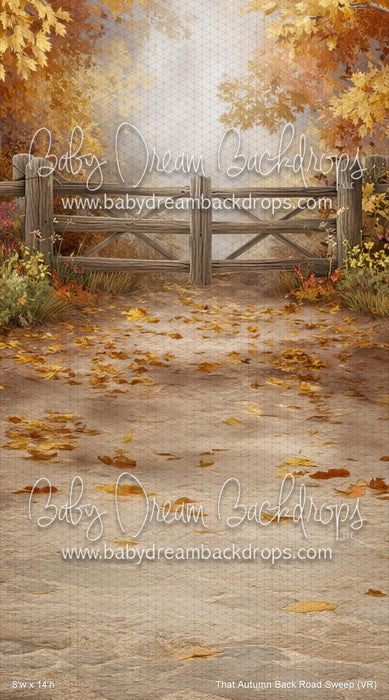 That Autumn Back Road Sweep (VR)