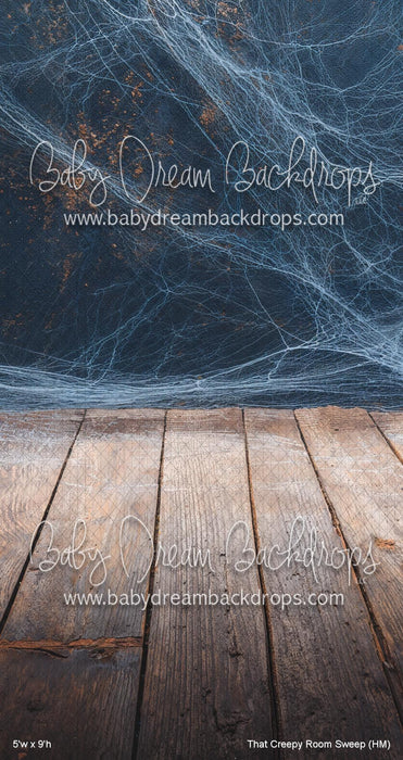 That Creepy Room Sweep (HM)