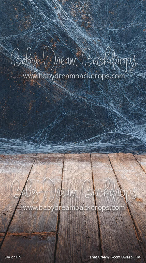 That Creepy Room Sweep (HM)