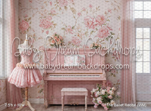 The Ballet Recital (WM)