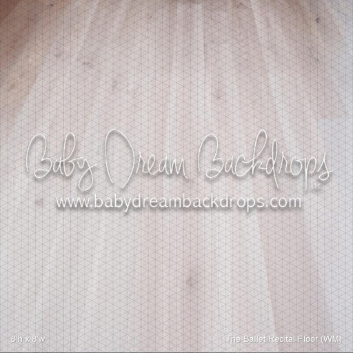 The Ballet Recital Floor (WM)