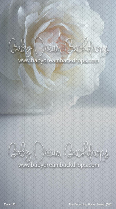 The Becoming Hours Sweep (MD)