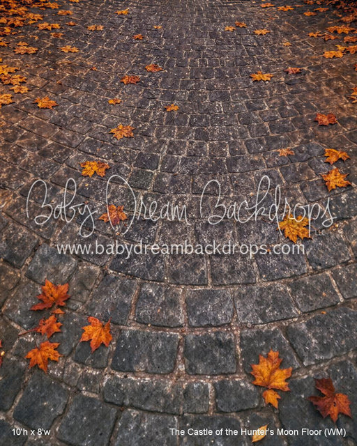 The Castle of the Hunter’s Moon Fabric Floor (WM)
