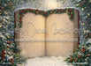 The Christmas Storybook (MD)