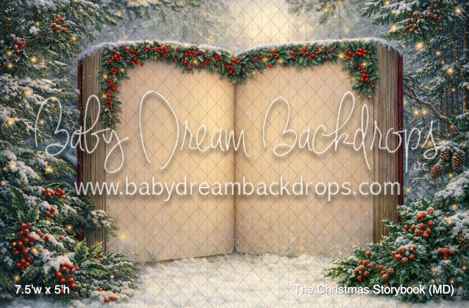 The Christmas Storybook (MD)