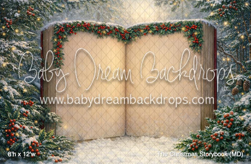 The Christmas Storybook (MD)