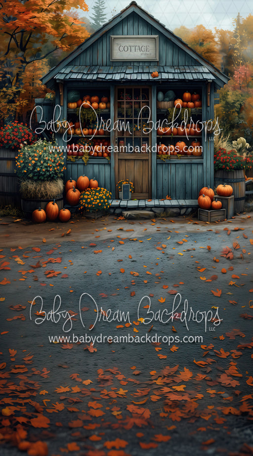 The Cottage Market Storefront Sweep (MD)