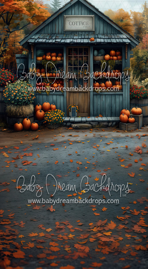 The Cottage Market Storefront Sweep (MD)