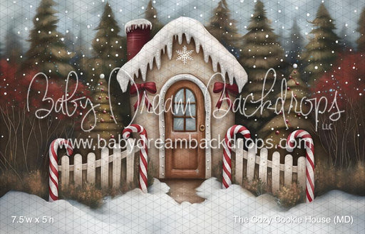 The Cozy Cookie House (MD)