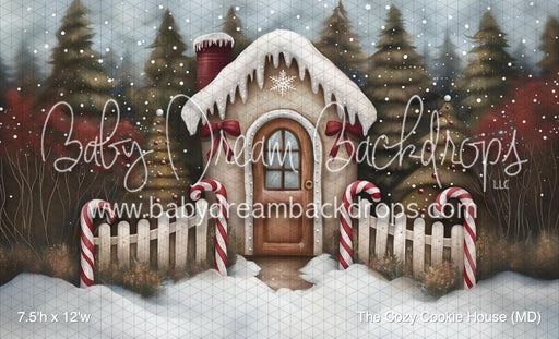 The Cozy Cookie House (MD)