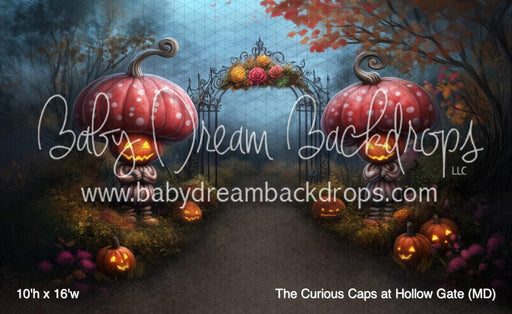 The Curious Caps at Hollow Gate (MD)