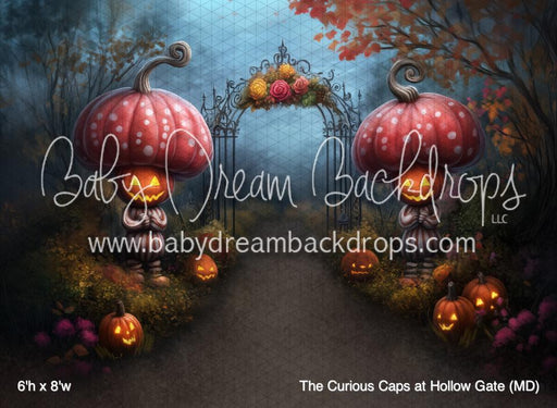 The Curious Caps at Hollow Gate (MD)