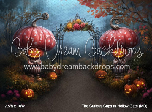 The Curious Caps at Hollow Gate (MD)