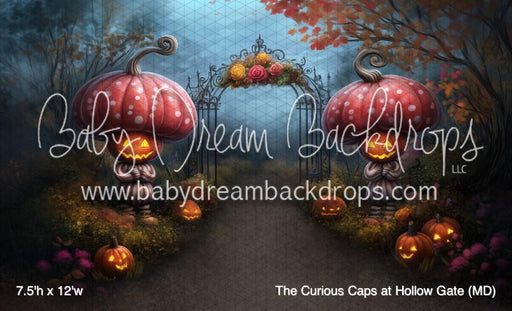 The Curious Caps at Hollow Gate (MD)