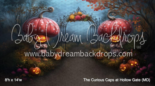 The Curious Caps at Hollow Gate (MD)