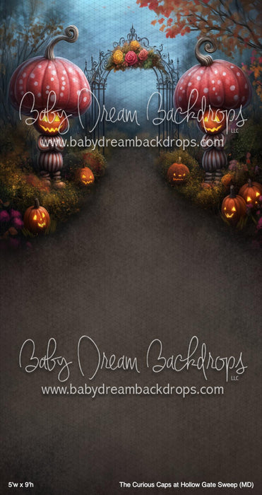 The Curious Caps at Hollow Gate Sweep (MD)