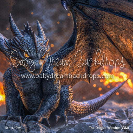 The Dragon Watcher (WM)