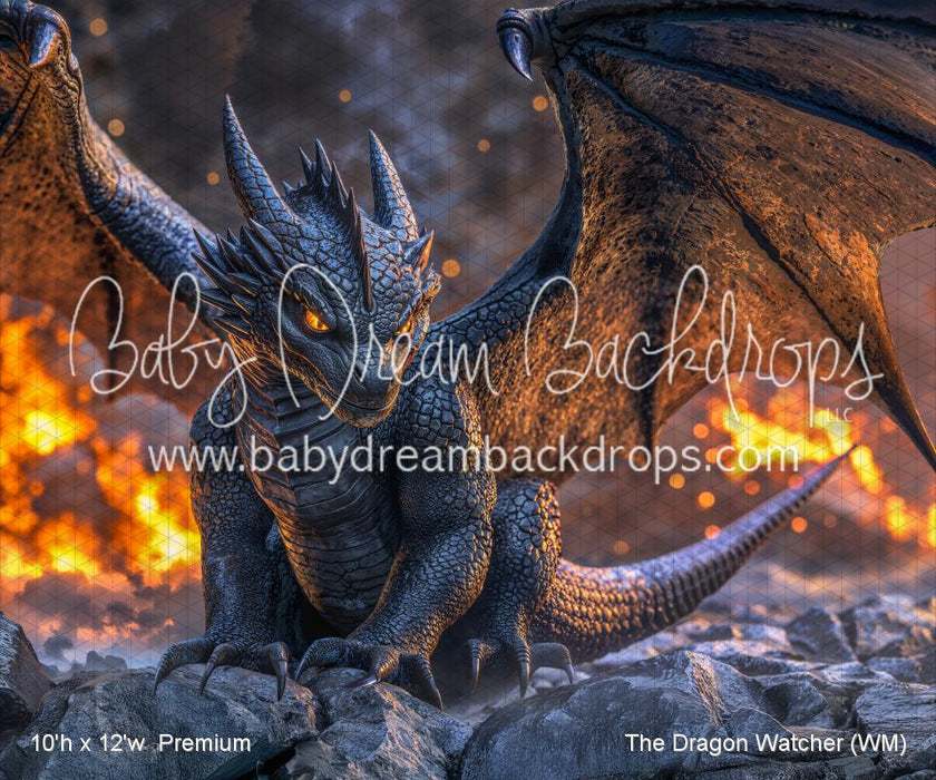 The Dragon Watcher (WM)