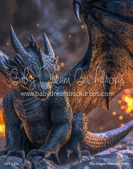 The Dragon Watcher (WM)