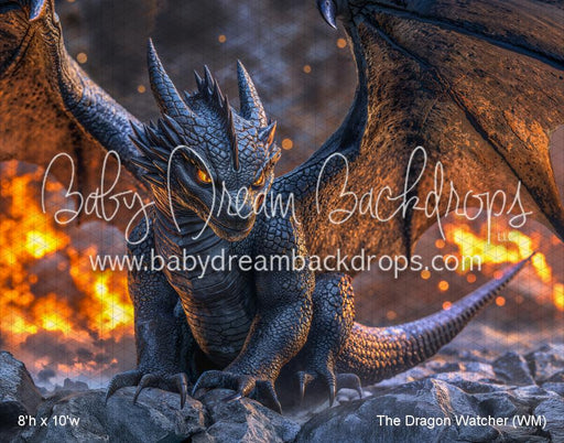 The Dragon Watcher (WM)