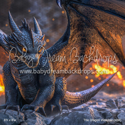 The Dragon Watcher (WM)