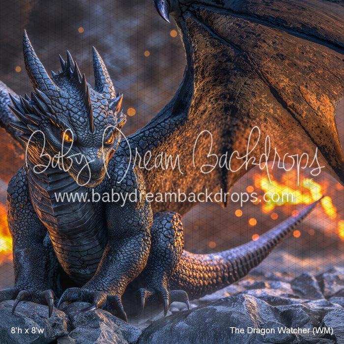 The Dragon Watcher (WM)