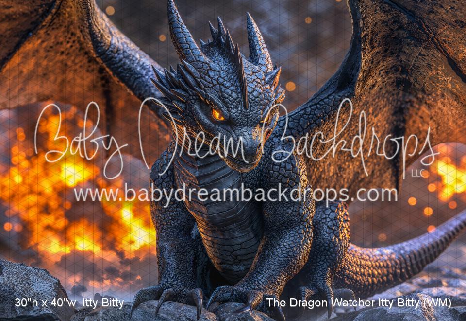 The Dragon Watcher Itty Bitty (WM)