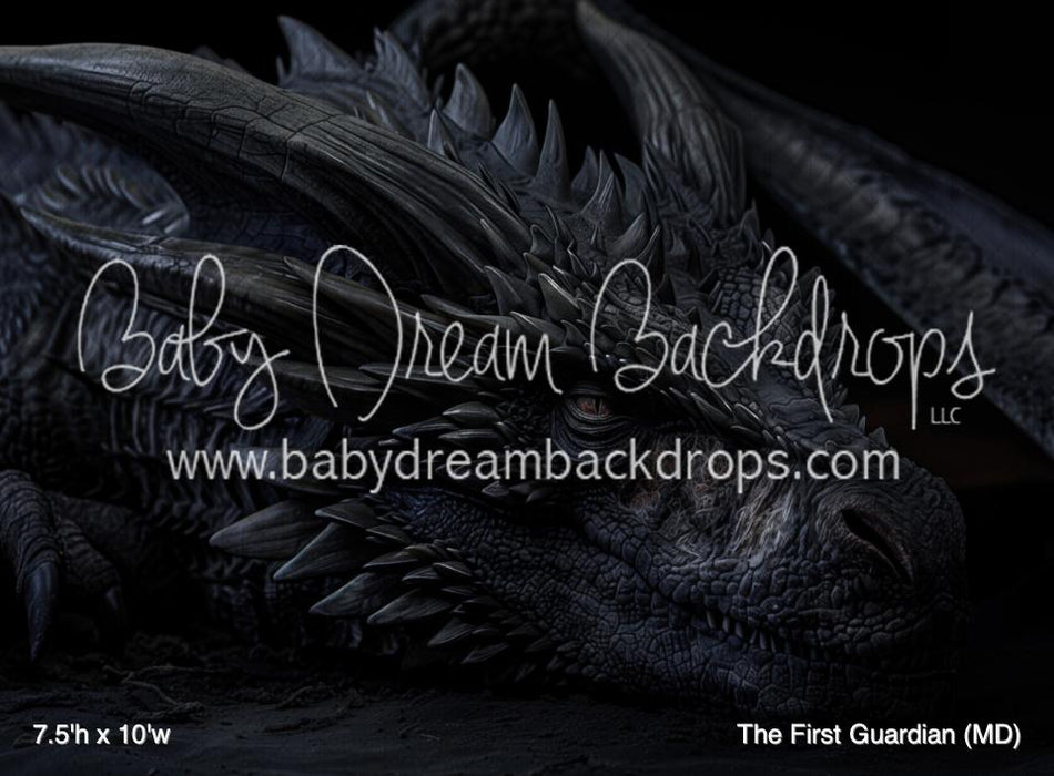 The First Guardian (MD)