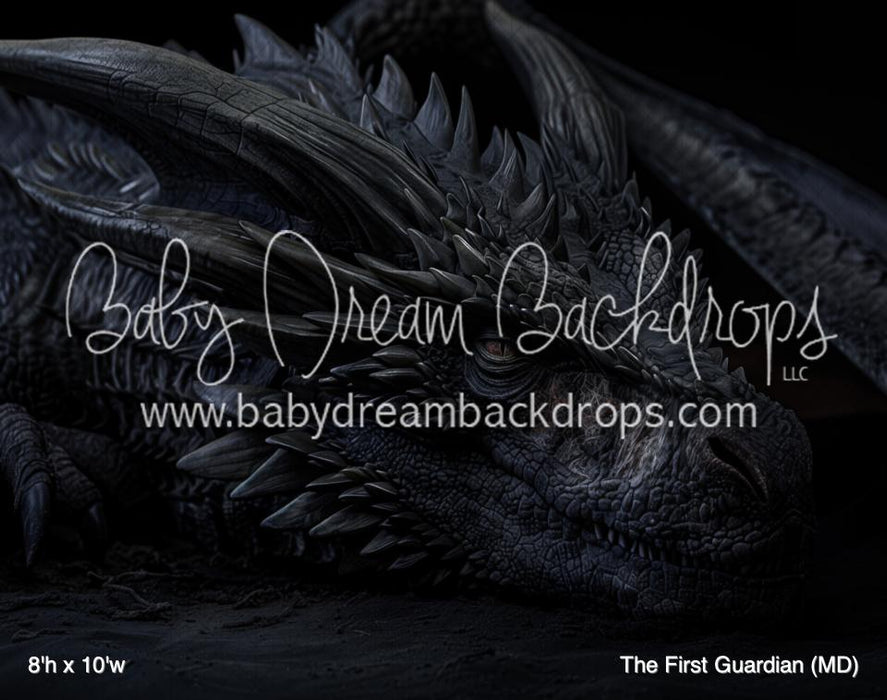 The First Guardian (MD)