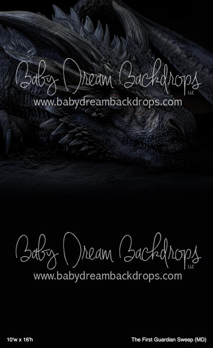 The First Guardian Sweep (MD)