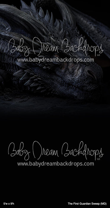The First Guardian Sweep (MD)
