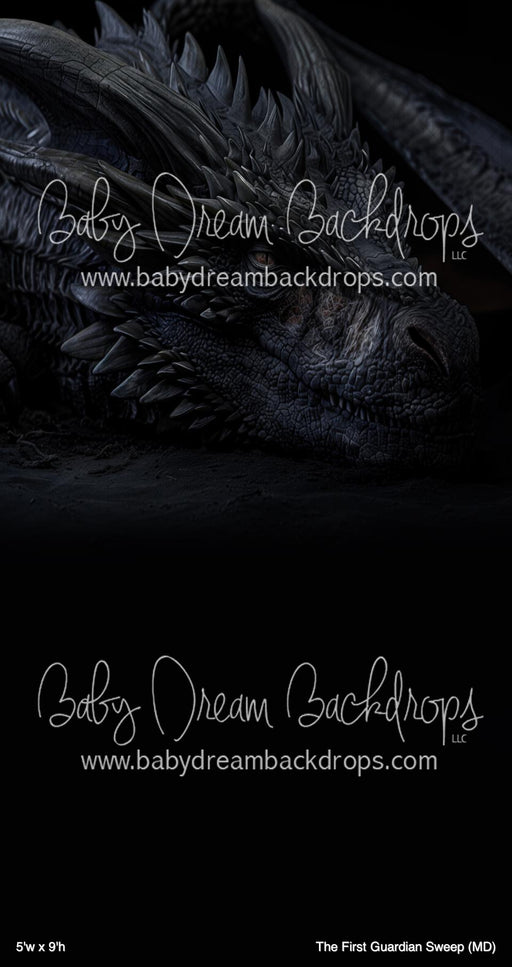 The First Guardian Sweep (MD)